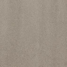 Textured Saxony Dignified Beige/Tan Carpet
