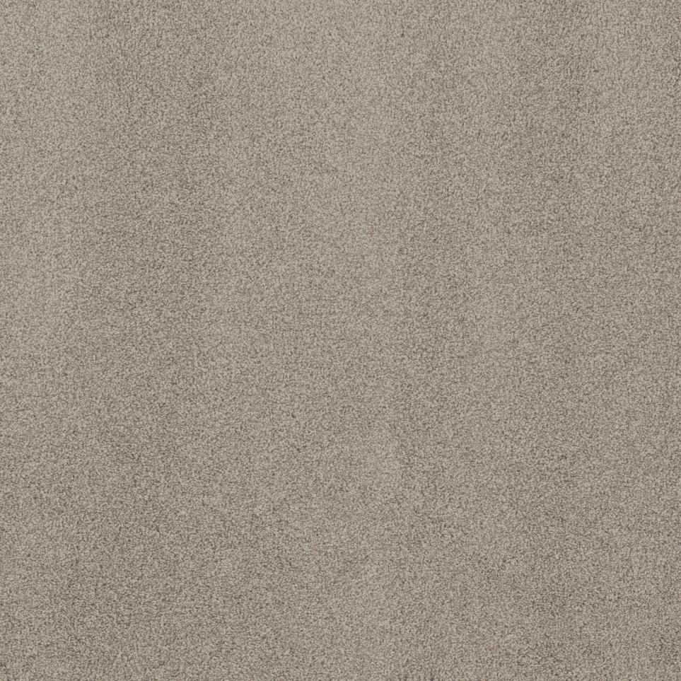 Textured Saxony Dignified Beige/Tan Carpet