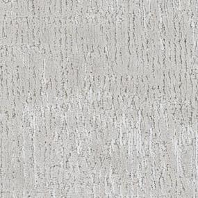 Pattern National Park Gray Carpet