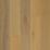 Tamarind Oak