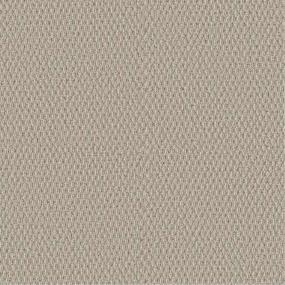 Berber Smooth Satin Beige/Tan Carpet