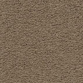 Textured Saxony Inner Balance Beige/Tan Carpet