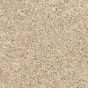Textured Saxony Toasted                        Beige/Tan Carpet