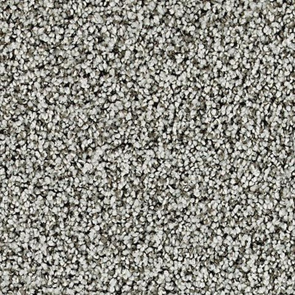 Textured Saxony Wrought Iron Gray Carpet