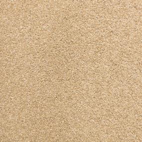 Textured Saxony Burlwood Beige/Tan Carpet