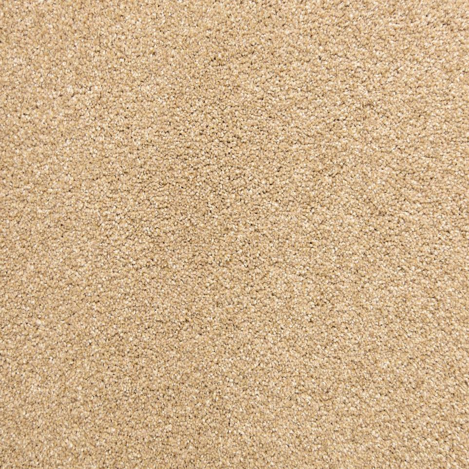 Textured Saxony Burlwood Beige/Tan Carpet
