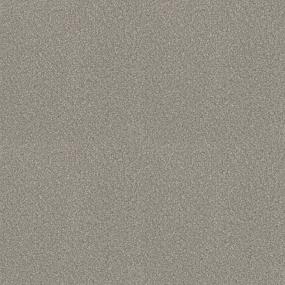 Textured Saxony Sweet Dreams Brown Carpet