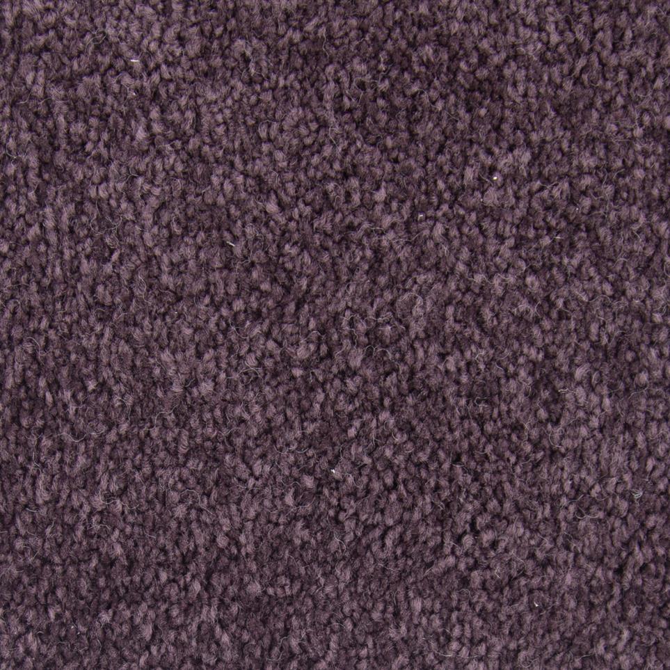 Texture Gladiola Purple Carpet
