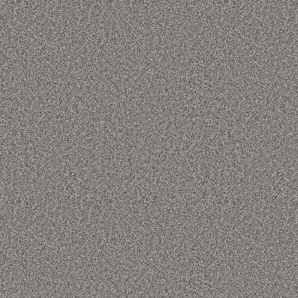 Textured Saxony GREY FOX Gray Carpet