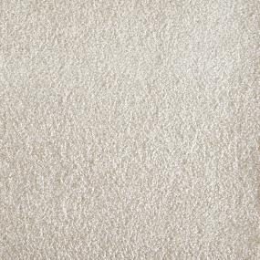 Plush Cream White Carpet