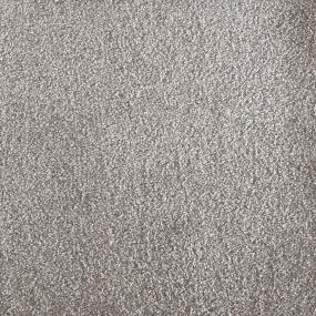 Plush Taupe Gray Carpet