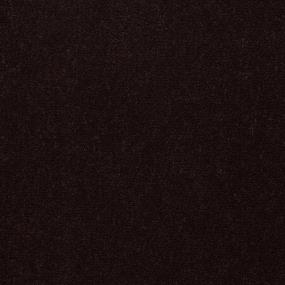 Cut Pile Moccasin Black Carpet