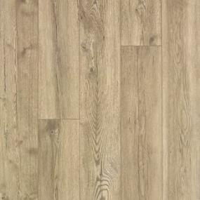 Canvas Oak