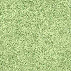 Casual Texture Liming Green Carpet