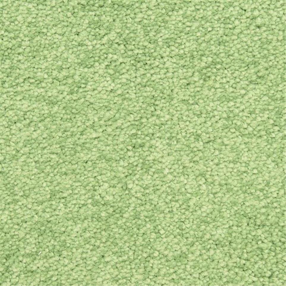Casual Texture Liming Green Carpet