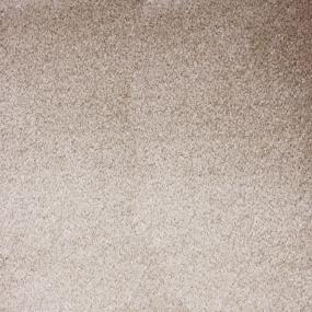 Plush Saxony Beige Beige/Tan Carpet