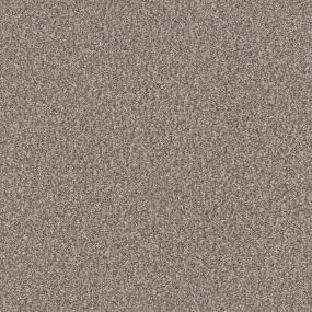 Casual Texture Oyster Beige/Tan Carpet