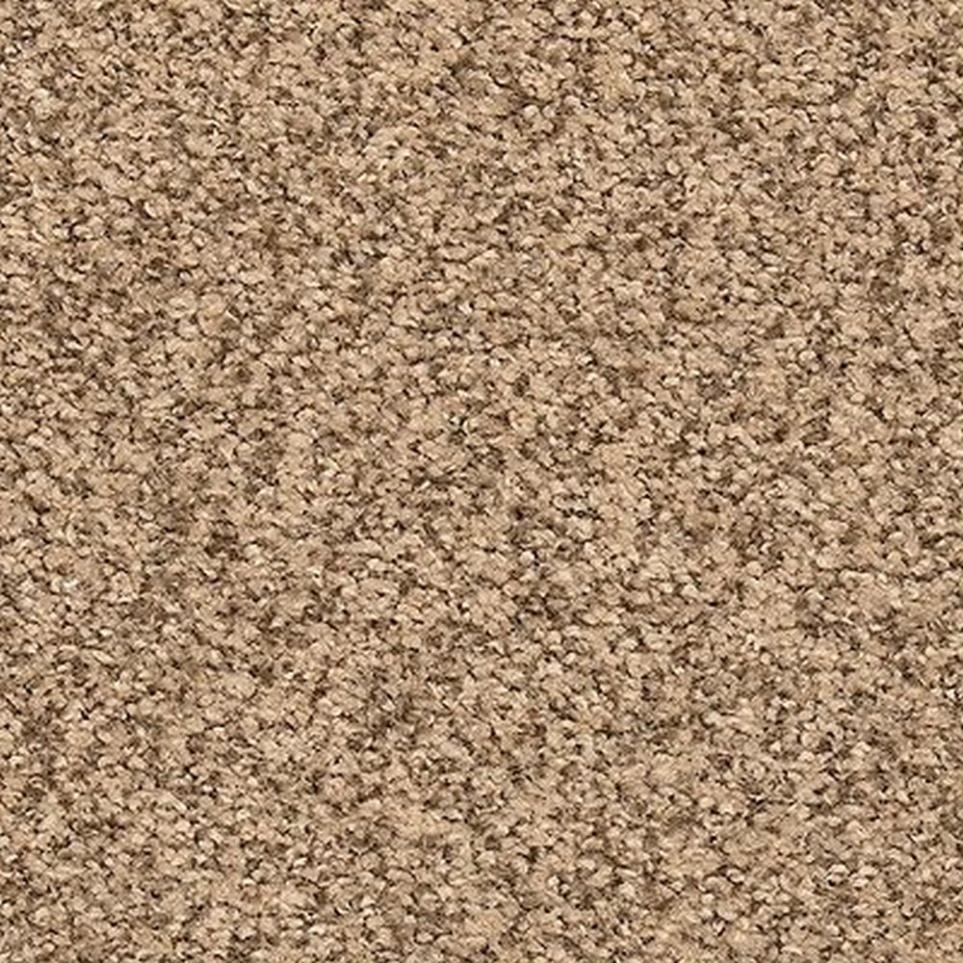 Textured Saxony Fallow Beige/Tan Carpet