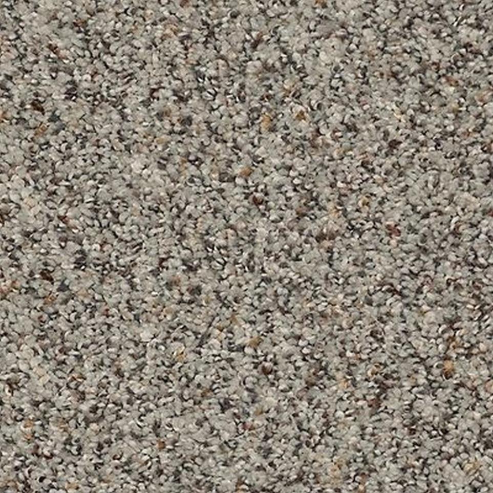 Textured Saxony Pristine Brown Carpet
