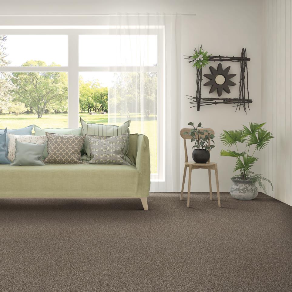 Casual Texture Ranch Brown Carpet