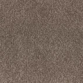 Casual Texture Ranch Brown Carpet