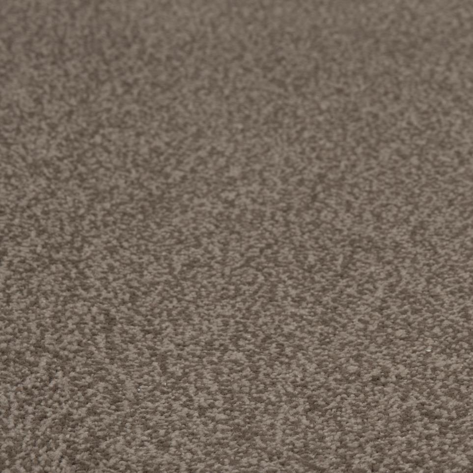Casual Texture Ranch Brown Carpet