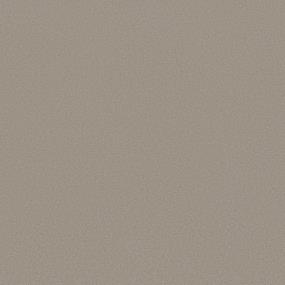 Textured Saxony Often Beige/Tan Carpet