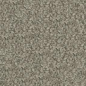 Plush Saxony Wellington Gray Carpet