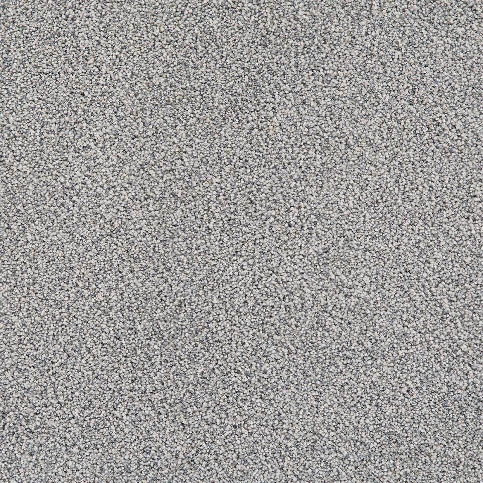 Cut Pile Legacy Gray Carpet