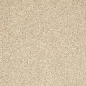 Textured Saxony Cement Mix Beige/Tan Carpet