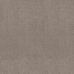 Pattern Homestead Beige/Tan Carpet