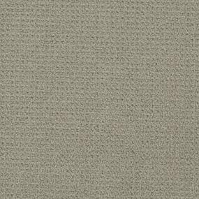 Pattern Ellis Point Brown Carpet