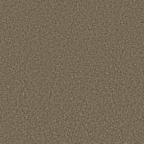 Textured Saxony Acorn Beige/Tan Carpet