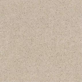 Textured Saxony Tunic Dust Beige/Tan Carpet