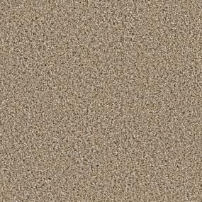 Textured Saxony Finesse Brown Carpet