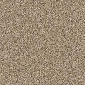 Textured Saxony Finesse Brown Carpet