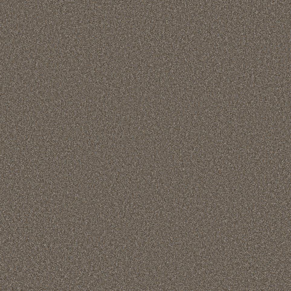 Textured Saxony Prairie Brown Carpet