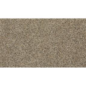 Textured Saxony Tawny Beige/Tan Carpet