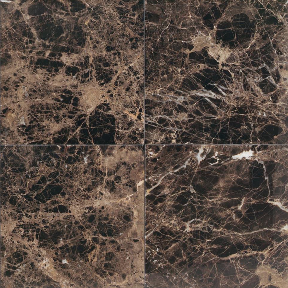 Tile Emperador Dark Polished Black Tile