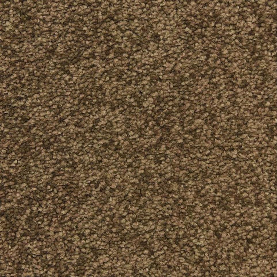 Casual Texture Balcony Brown Carpet