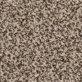 Texture Soft Light Beige/Tan Carpet