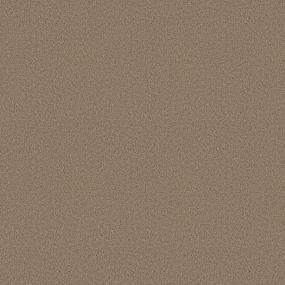 Textured Saxony Safari Brown Brown Carpet