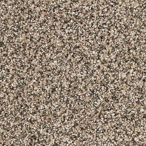 Textured Saxony Hearthstone Brown Carpet
