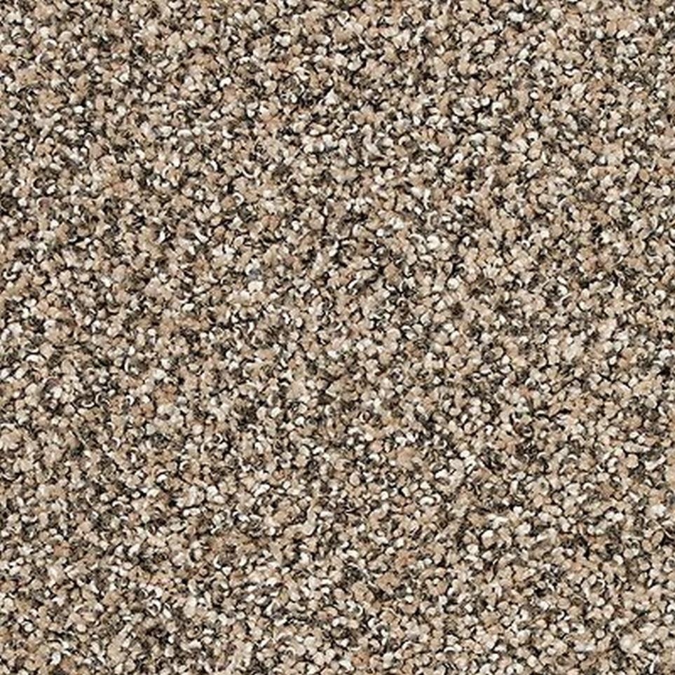 Textured Saxony Hearthstone Brown Carpet