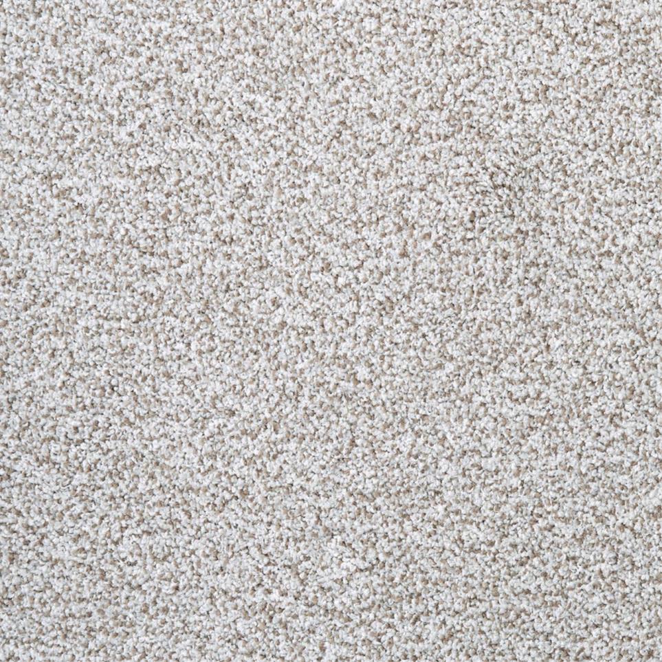 Textured Saxony Exquisite Beige/Tan Carpet
