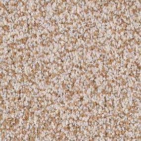 Textured Saxony Sandstone Brown Carpet