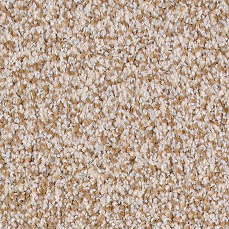 Textured Saxony Sandstone Brown Carpet