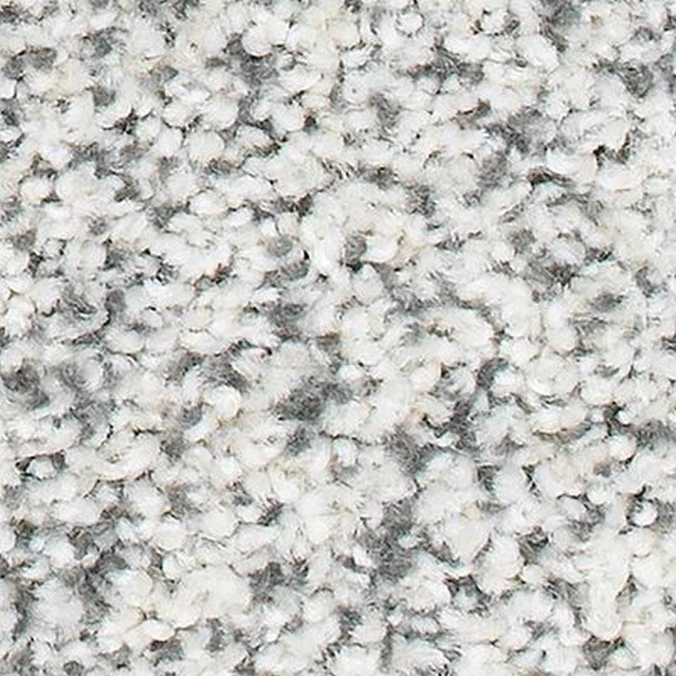 Textured Saxony Magnolia Gray Carpet