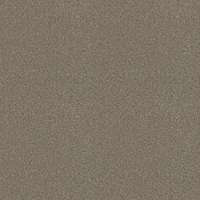 Textured Saxony Precious Possession Brown Carpet