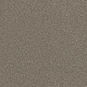 Textured Saxony Precious Possession Brown Carpet